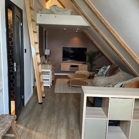 Stort Loftsrom I Sentrum Med Enkel Frokost Apartment