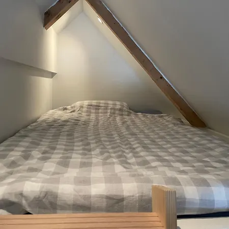 Stort Loftsrom I Sentrum Med Enkel Frokost Apartment *