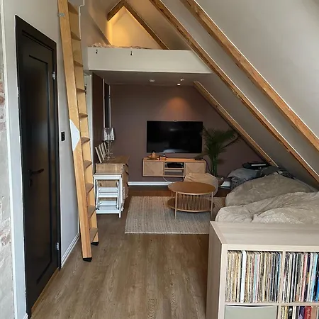 Apartment Stort Loftsrom I Sentrum Med Enkel Frokost *